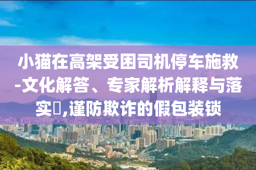小貓?jiān)诟呒苁芾緳C(jī)停車施救-文化解答、專家解析解釋與落實(shí)?,謹(jǐn)防欺詐的假包裝鎖