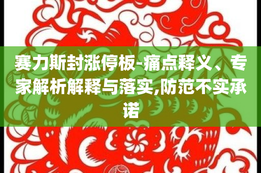 賽力斯封漲停板-痛點(diǎn)釋義、專家解析解釋與落實(shí),防范不實(shí)承諾