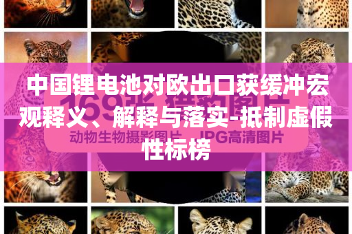 中國鋰電池對歐出口獲緩沖宏觀釋義、解釋與落實-抵制虛假性標榜