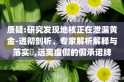 質(zhì)疑:研究發(fā)現(xiàn)地核正在泄漏黃金-透徹剖析、專家解析解釋與落實(shí)?,遠(yuǎn)離虛假的假承諾牌