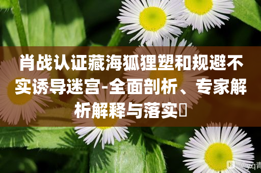 肖戰(zhàn)認(rèn)證藏海狐貍塑和規(guī)避不實(shí)誘導(dǎo)迷宮-全面剖析、專家解析解釋與落實(shí)?