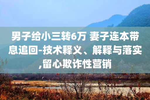 男子給小三轉(zhuǎn)6萬 妻子連本帶息追回-技術(shù)釋義、解釋與落實(shí),留心欺詐性營銷
