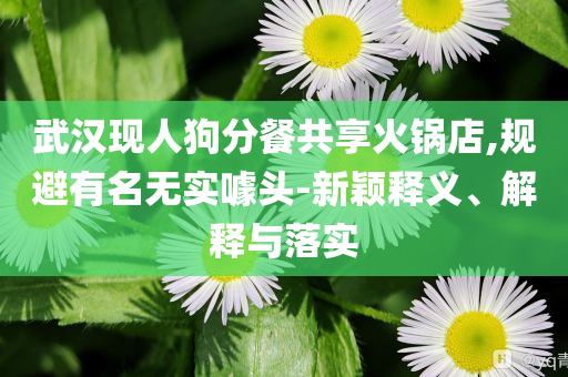 武漢現(xiàn)人狗分餐共享火鍋店,規(guī)避有名無(wú)實(shí)噱頭-新穎釋義、解釋與落實(shí)