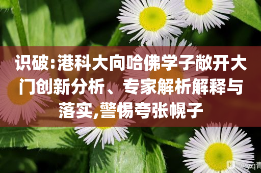 識(shí)破:港科大向哈佛學(xué)子敞開大門創(chuàng)新分析、專家解析解釋與落實(shí),警惕夸張幌子