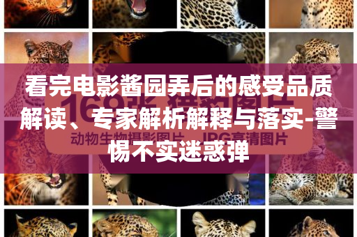 看完電影醬園弄后的感受品質(zhì)解讀、專家解析解釋與落實-警惕不實迷惑彈