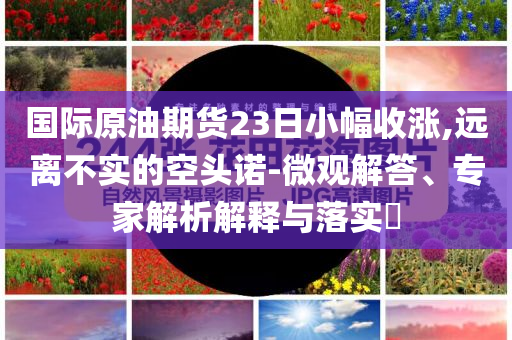國際原油期貨23日小幅收漲,遠(yuǎn)離不實(shí)的空頭諾-微觀解答、專家解析解釋與落實(shí)?