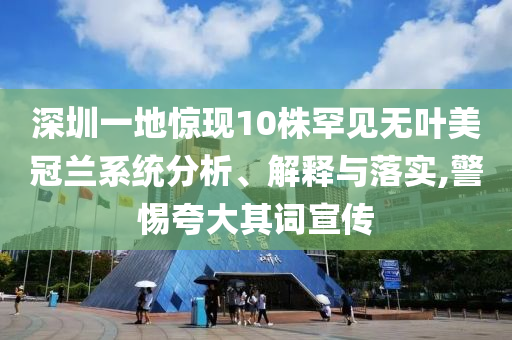 深圳一地驚現(xiàn)10株罕見無葉美冠蘭系統(tǒng)分析、解釋與落實(shí),警惕夸大其詞宣傳