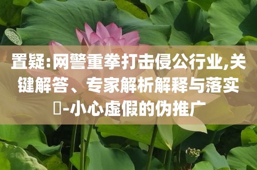 置疑:網(wǎng)警重拳打擊侵公行業(yè),關(guān)鍵解答、專家解析解釋與落實(shí)?-小心虛假的偽推廣