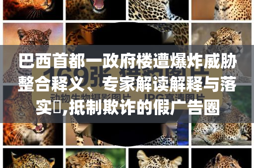 巴西首都一政府樓遭爆炸威脅整合釋義、專家解讀解釋與落實(shí)?,抵制欺詐的假?gòu)V告圈
