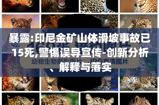 暴露:印尼金礦山體滑坡事故已15死,警惕誤導(dǎo)宣傳-創(chuàng)新分析、解釋與落實(shí)