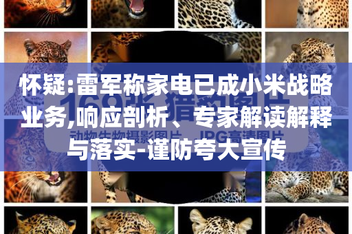 懷疑:雷軍稱家電已成小米戰(zhàn)略業(yè)務(wù),響應(yīng)剖析、專家解讀解釋與落實-謹(jǐn)防夸大宣傳