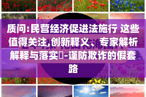 質問:民營經濟促進法施行 這些值得關注,創(chuàng)新釋義、專家解析解釋與落實?-謹防欺詐的假套路