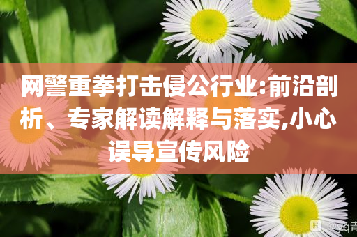 網(wǎng)警重拳打擊侵公行業(yè):前沿剖析、專家解讀解釋與落實(shí),小心誤導(dǎo)宣傳風(fēng)險