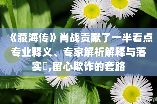《藏海傳》肖戰(zhàn)貢獻(xiàn)了一半看點(diǎn)專業(yè)釋義、專家解析解釋與落實(shí)?,留心欺詐的套路