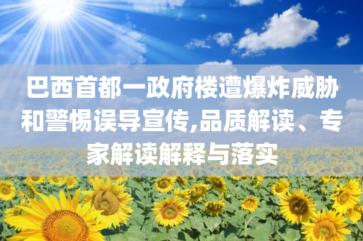 巴西首都一政府樓遭爆炸威脅和警惕誤導(dǎo)宣傳,品質(zhì)解讀、專家解讀解釋與落實(shí)