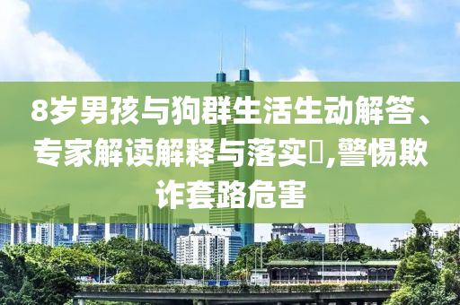 8歲男孩與狗群生活生動(dòng)解答、專家解讀解釋與落實(shí)?,警惕欺詐套路危害