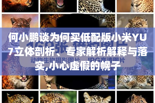 king擺渡 第98頁(yè)