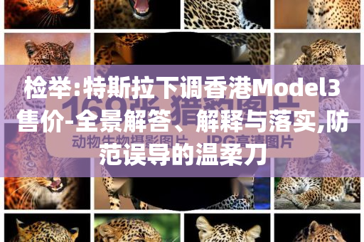 檢舉:特斯拉下調(diào)香港Model3售價-全景解答、解釋與落實,防范誤導(dǎo)的溫柔刀