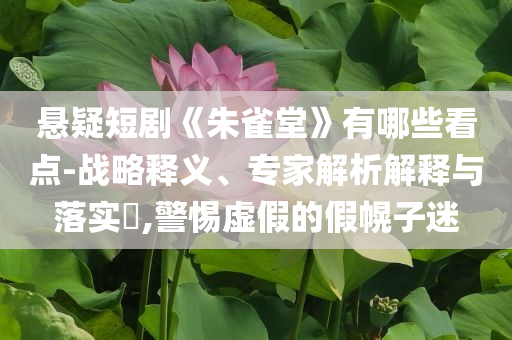 懸疑短劇《朱雀堂》有哪些看點-戰(zhàn)略釋義、專家解析解釋與落實?,警惕虛假的假幌子迷