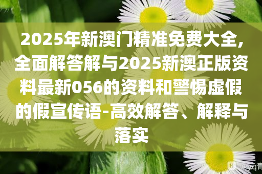 2025年新澳門精準免費大全,全面解答解與2025新澳正版資料最新056的資料和警惕虛假的假宣傳語-高效解答、解釋與落實