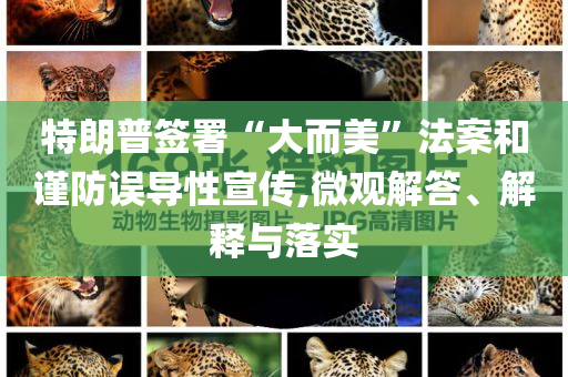特朗普簽署“大而美”法案和謹防誤導性宣傳,微觀解答、解釋與落實
