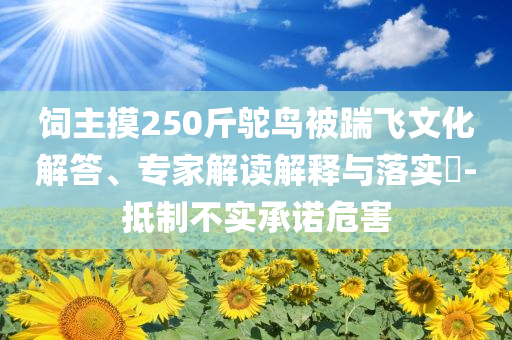 飼主摸250斤鴕鳥被踹飛文化解答、專家解讀解釋與落實?-抵制不實承諾危害