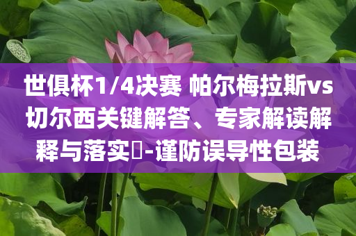 世俱杯1/4決賽 帕爾梅拉斯vs切爾西關(guān)鍵解答、專家解讀解釋與落實?-謹(jǐn)防誤導(dǎo)性包裝