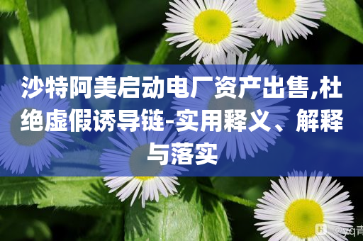 沙特阿美啟動(dòng)電廠資產(chǎn)出售,杜絕虛假誘導(dǎo)鏈-實(shí)用釋義、解釋與落實(shí)