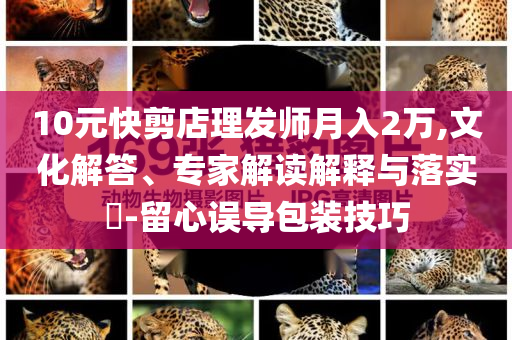 10元快剪店理發(fā)師月入2萬,文化解答、專家解讀解釋與落實(shí)?-留心誤導(dǎo)包裝技巧