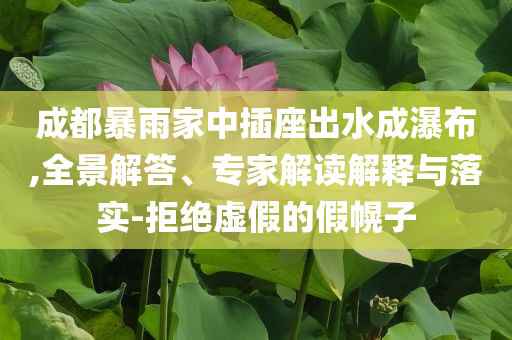 成都暴雨家中插座出水成瀑布,全景解答、專家解讀解釋與落實(shí)-拒絕虛假的假幌子