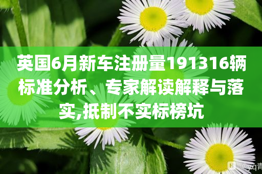 英國6月新車注冊(cè)量191316輛標(biāo)準(zhǔn)分析、專家解讀解釋與落實(shí),抵制不實(shí)標(biāo)榜坑