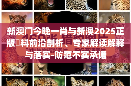 新澳門今晚一肖與新澳2025正版資料前沿剖析、專家解讀解釋與落實-防范不實承諾