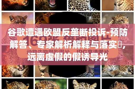 谷歌遭遇歐盟反壟斷投訴-預(yù)防解答、專家解析解釋與落實?,遠(yuǎn)離虛假的假誘導(dǎo)光
