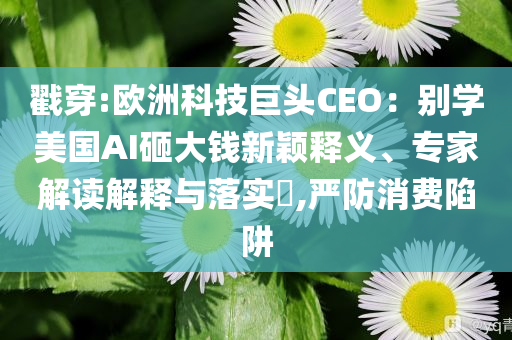 戳穿:歐洲科技巨頭CEO：別學(xué)美國AI砸大錢新穎釋義、專家解讀解釋與落實?,嚴(yán)防消費陷阱