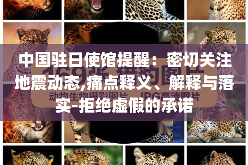 中國駐日使館提醒：密切關(guān)注地震動態(tài),痛點(diǎn)釋義、解釋與落實(shí)-拒絕虛假的承諾