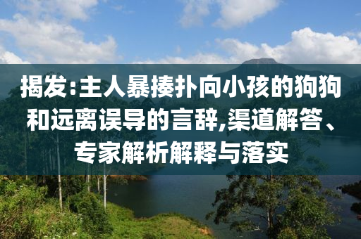 揭發(fā):主人暴揍撲向小孩的狗狗和遠離誤導的言辭,渠道解答、專家解析解釋與落實