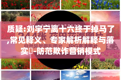 質(zhì)疑:劉宇寧離十六終于掉馬了,常見釋義、專家解析解釋與落實?-防范欺詐營銷模式