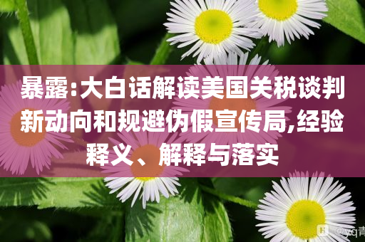 暴露:大白話(huà)解讀美國(guó)關(guān)稅談判新動(dòng)向和規(guī)避偽假宣傳局,經(jīng)驗(yàn)釋義、解釋與落實(shí)
