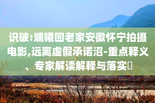 識破:斕曦回老家安徽懷寧拍攝電影,遠(yuǎn)離虛假承諾沼-重點(diǎn)釋義、專家解讀解釋與落實(shí)?