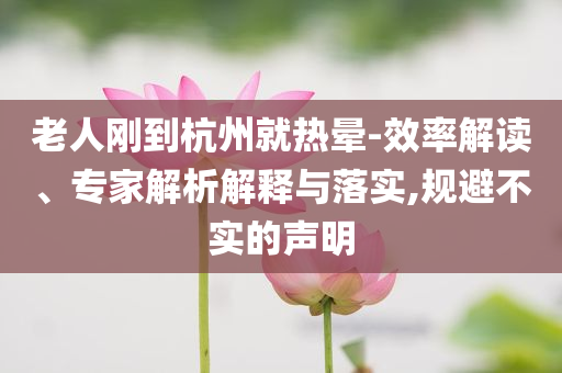 老人剛到杭州就熱暈-效率解讀、專家解析解釋與落實(shí),規(guī)避不實(shí)的聲明