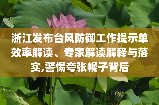 浙江發(fā)布臺(tái)風(fēng)防御工作提示單效率解讀、專家解讀解釋與落實(shí),警惕夸張幌子背后
