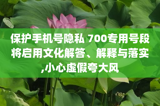 保護(hù)手機(jī)號(hào)隱私 700專(zhuān)用號(hào)段將啟用文化解答、解釋與落實(shí),小心虛假夸大風(fēng)