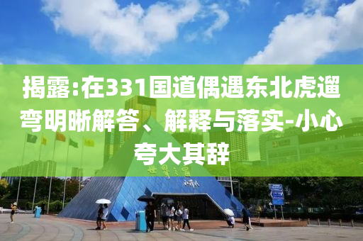 揭露:在331國(guó)道偶遇東北虎遛彎明晰解答、解釋與落實(shí)-小心夸大其辭