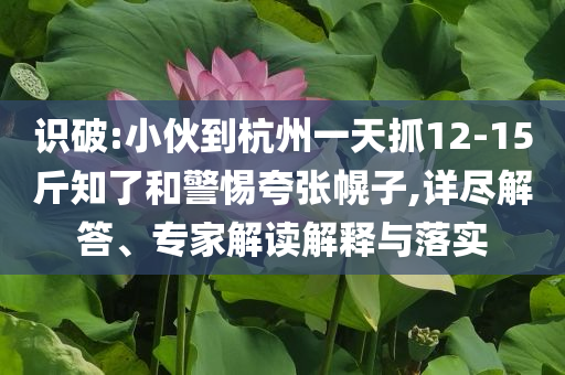 識破:小伙到杭州一天抓12-15斤知了和警惕夸張幌子,詳盡解答、專家解讀解釋與落實