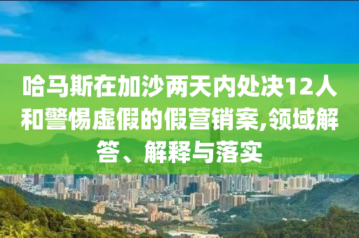 哈馬斯在加沙兩天內(nèi)處決12人和警惕虛假的假營銷案,領(lǐng)域解答、解釋與落實