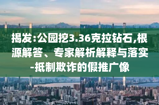 揭發(fā):公園挖3.36克拉鉆石,根源解答、專家解析解釋與落實-抵制欺詐的假推廣像