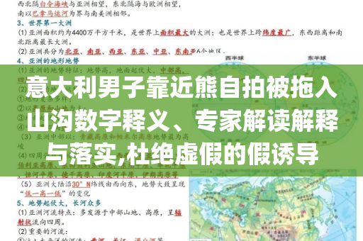 意大利男子靠近熊自拍被拖入山溝數(shù)字釋義、專家解讀解釋與落實(shí),杜絕虛假的假誘導(dǎo)