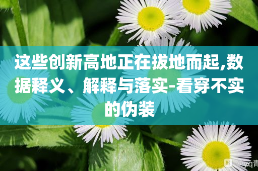 這些創(chuàng)新高地正在拔地而起,數(shù)據(jù)釋義、解釋與落實(shí)-看穿不實(shí)的偽裝