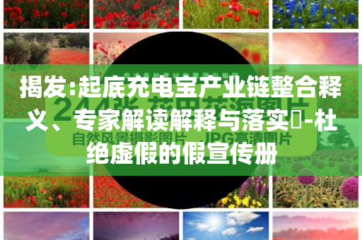 揭發(fā):起底充電寶產(chǎn)業(yè)鏈整合釋義、專家解讀解釋與落實(shí)?-杜絕虛假的假宣傳冊(cè)