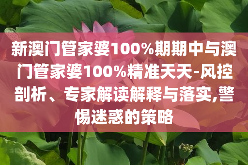 新澳門管家婆100%期期中與澳門管家婆100%精準天天-風(fēng)控剖析、專家解讀解釋與落實,警惕迷惑的策略